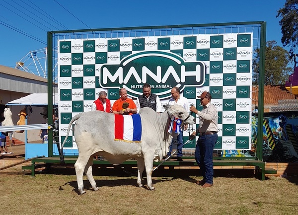 ACV y Luna Blanca los Grandes Campeones Nelore y Nelore Mocho de Expo Santa Rita