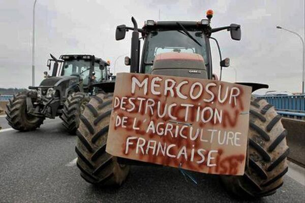Brasil alerta que la nueva exigencia ambiental de UE perjudica al Mercosur