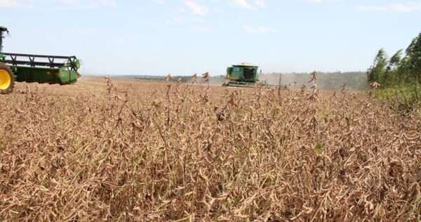 Soja y maíz son con los productos que tuvieron  mayor incidencia en las exportaciones