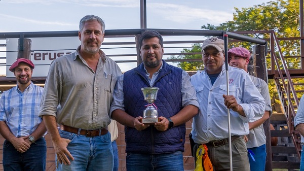 Ganadera Arandu y Herrera Agrocomercial los mejores en el juzgamiento Brangus de campo