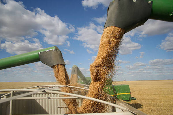 Doce países de la Unión Europea critican pacto de la Comisión Europea sobre el cereal ucraniano con países próximos a Kiev - Revista PLUS