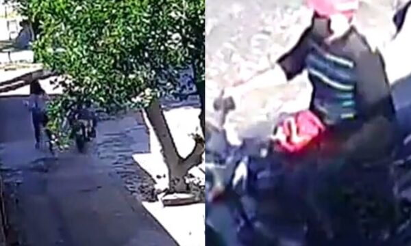 Yiyi caminaba tranquila hasta que un motoca le tocó la cola