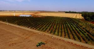 La Nación / Recuperación agrícola y de energía generó repunte del 8,2 % en la actividad económica mensual