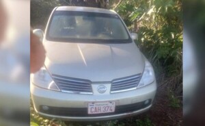 Asaltan a un anciano y le roban hasta la mascota en Yguazú