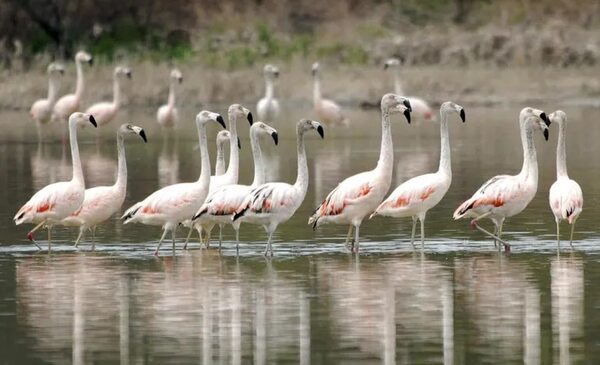 Feriados: opciones de turismo interno para conocer en el “finde largo” - Viajes - ABC Color