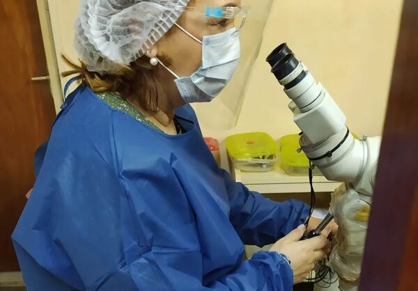 El papanicolau y la colposcopía en busca del cáncer de cuello de útero - Nacionales - ABC Color