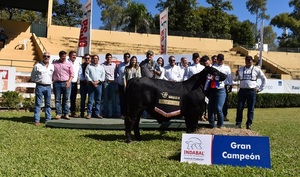 Altohondo obtuvo el Gran Campeón Ternero y el Tercer Mejor Ternero de bozal