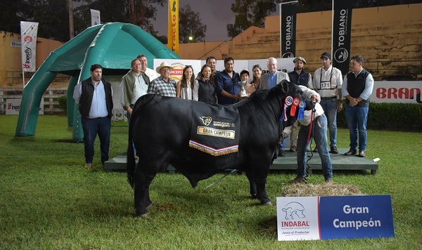 Gran Campeón Nacional Brangus de Otoño fue para Herrera Agrocomercial