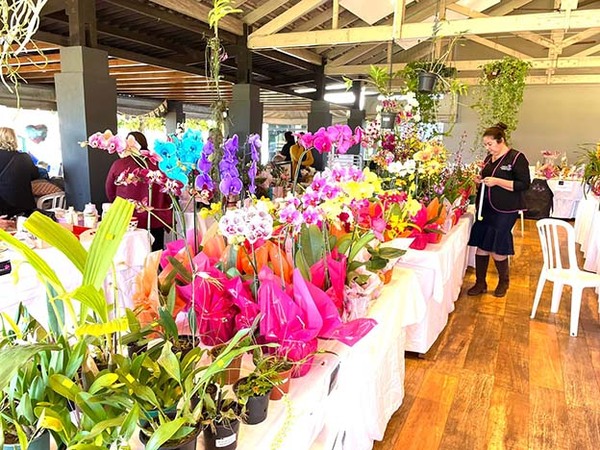 Feria de orquídeas en el STEIBI para agasajar a mamá con regalos originales | DIARIO PRIMERA PLANA