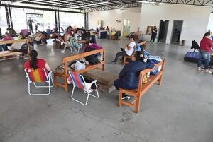 Senado debatirá autorizar al IPS a contratar profesionales y clínicas para descomprimir servicio - Política - ABC Color