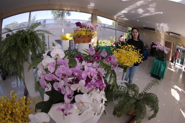 Invitan a la “Expo Feria de Orquídeas” por el Día de la Madre | 1000 Noticias