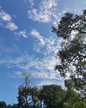 Prevén aumento gradual de la temperatura a partir de hoy