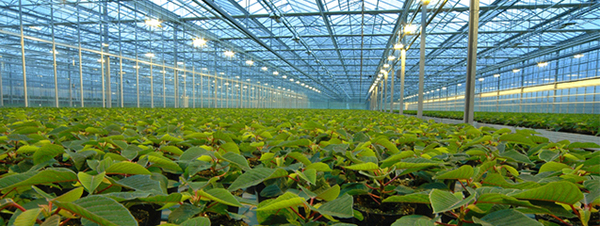 Primera edición del evento de innovación y tecnología agropecuaria, CreaTech | Análisis Macro | 5Días