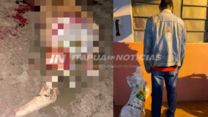 UN ABIGEO FUE SORPRENDIDO EN PLENA FAENA GRAL. ARTIGAS  - Itapúa Noticias