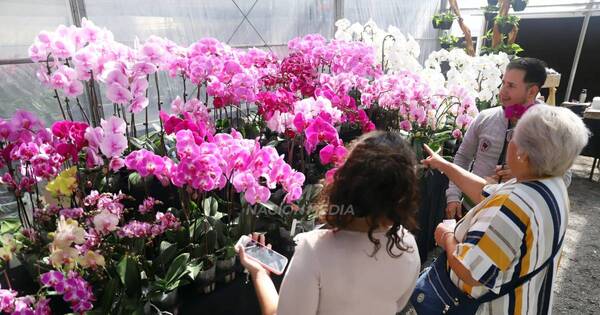 La Nación / ¡Atención amantes de las flores!, hoy es el último día de feria de Floricultura del Paraguay