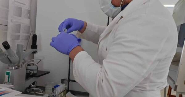 La Nación / El Conacyt invita a postular a becas de investigación