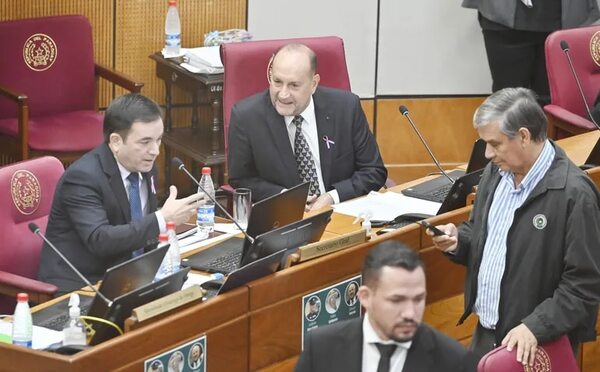 Esperanza Martínez propone crear en el Senado multibancada “anticartista” - Política - ABC Color