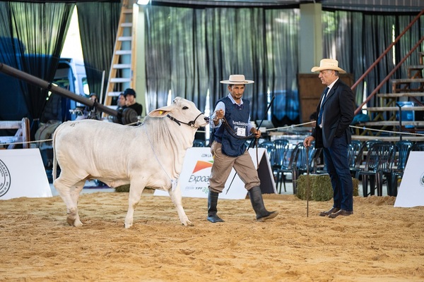 Fernando Llano eligió a los mejores Brahman en la Nacional de Corrientes