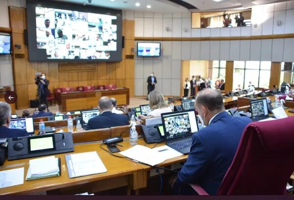 De 45 senadores, 13 son asuncenos, 11 de Central y una es migrante - Política - ABC Color