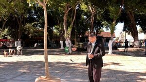 Explanada de la Basílica de Caacupé se reforesta con 60 árboles nativos