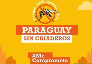 Marcado descenso de afectados por arbovirosis | Lambaré Informativo