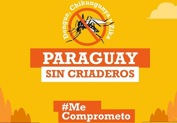 Marcado descenso de afectados por arbovirosis | Lambaré Informativo