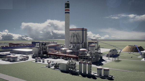 Postergan construcción de fábrica de pasta celulosa