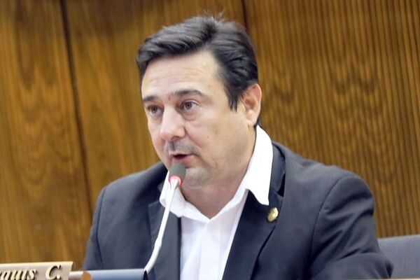 El PLRA tendrá que refundarse o refundirse, según Buzarquis - El Trueno
