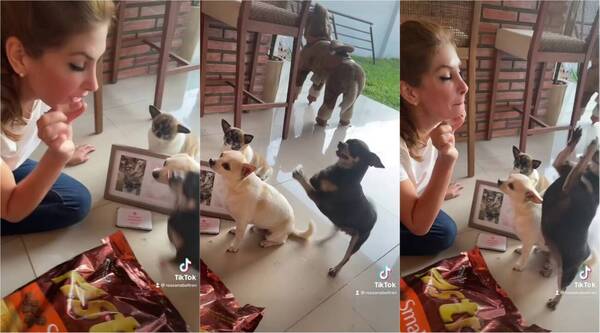 [VIDEO] ¡Ingueroviable! Rossana Beltrán mostró cómo su perrita la llama "mamá"