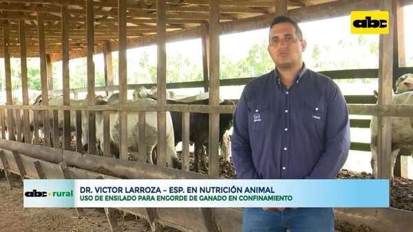 Video: Uso de ensilado para engorde de ganado en confinamiento - Ensiestados - ABC Color