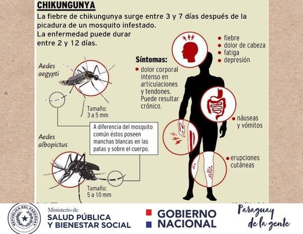 Dolores articulares luego del chikungunya puede persistir por meses o años