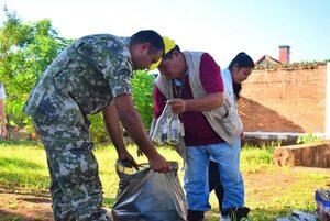 Marcado descenso de afectados por arbovirosis en Paraguay - Nacionales - ABC Color