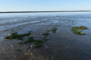 Reflotan Corpus, pero como un proyecto exclusivamente argentino - Economía - ABC Color