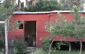 Matan a un hombre de un balazo en el corazón en Limpio – Prensa 5