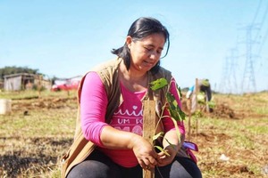 Comuna hernandariense arboriza barrio 11 de Septiembre | DIARIO PRIMERA PLANA