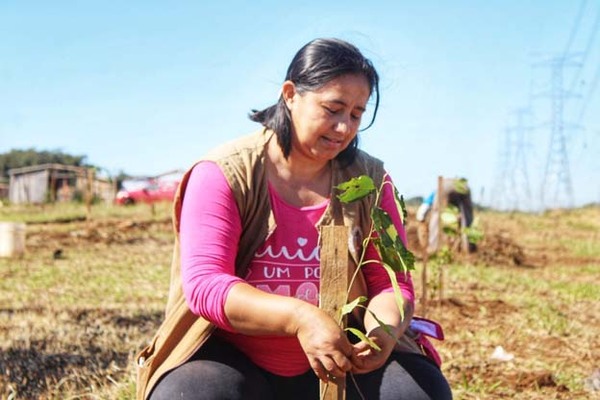 Comuna hernandariense arboriza barrio 11 de Septiembre | DIARIO PRIMERA PLANA