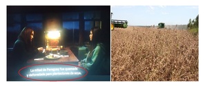 Productores desmienten a Jennifer López sobre supuesta 'quema de la mitad de Paraguay para plantaciones de soja'