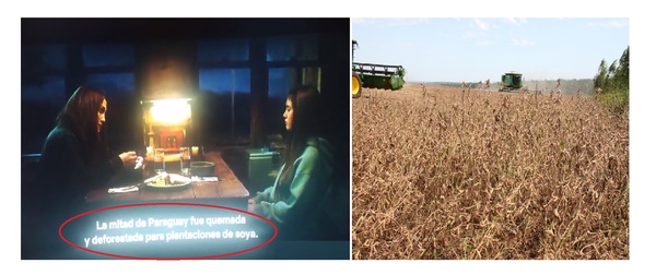 Productores desmienten a Jennifer López sobre supuesta 'quema de la mitad de Paraguay para plantaciones de soja'