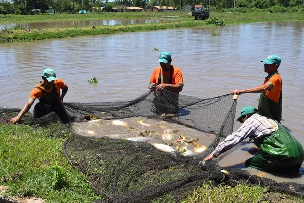 Encuentro de productores y piscicultores del Paraguay será en Santa Rita