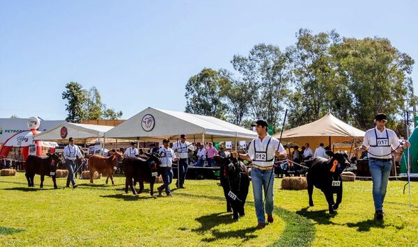 Expo Brangus cerró con Gs. 2.640 millones en negocios