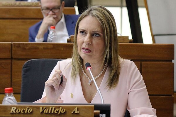 Cámara Baja aprueba pedido de informe sobre duplicación de cédulas en elecciones - ADN Digital