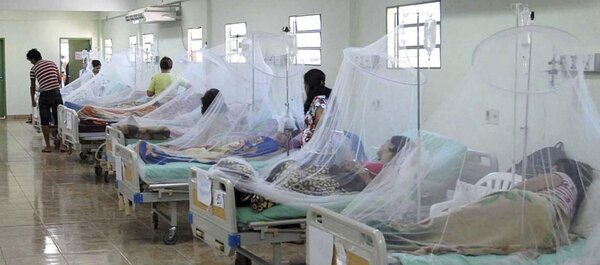 Perú sufre el peor brote de dengue de los últimos años - ADN Digital
