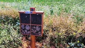 Naranjal instala hoteles de insectos para la polinización de los cultivos