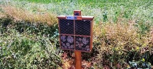 NARANJAL INSTALA HOTELES DE INSECTOS PARA LA POLINIZACIÓN DE LOS CULTIVOS