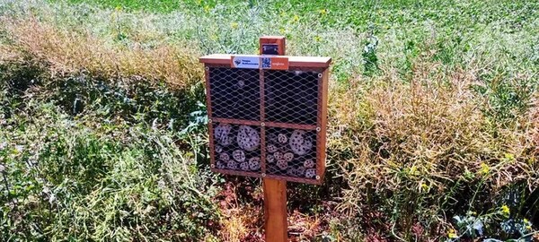 NARANJAL INSTALA HOTELES DE INSECTOS PARA LA POLINIZACIÓN DE LOS CULTIVOS