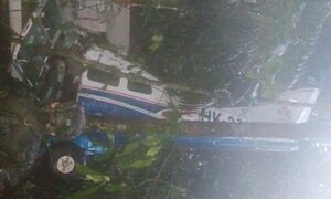 Tres niños y un bebé sobreviven solos 17 días en la jungla tras caida de avión