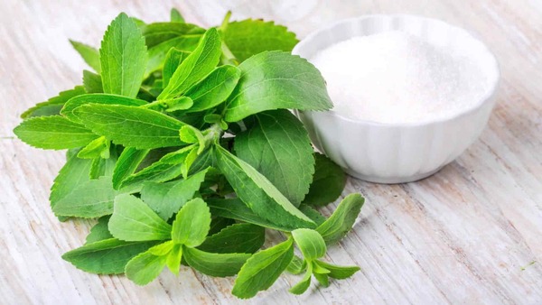 Critican a OMS por meter a la stevia en la misma bolsa de edulcorantes que tiene productos químicos | 1000 Noticias