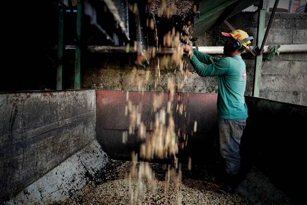El Gobierno brasileño prevé un crecimiento del 7,5 % de la producción de café en 2023 - MarketData