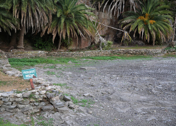La venta de agua embotellada en Uruguay se triplica ante la crisis hídrica - MarketData