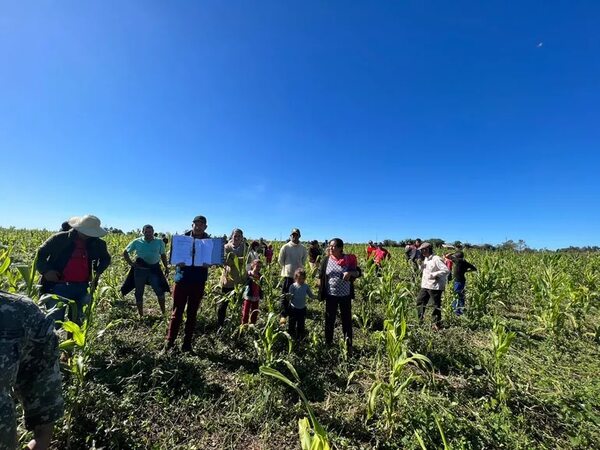 Denuncian nuevo atropello campesino a la Reserva de Edelira, en Itapúa - Nacionales - ABC Color